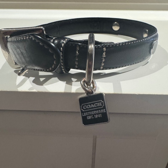 Dog coach collar - Picture 1 of 3